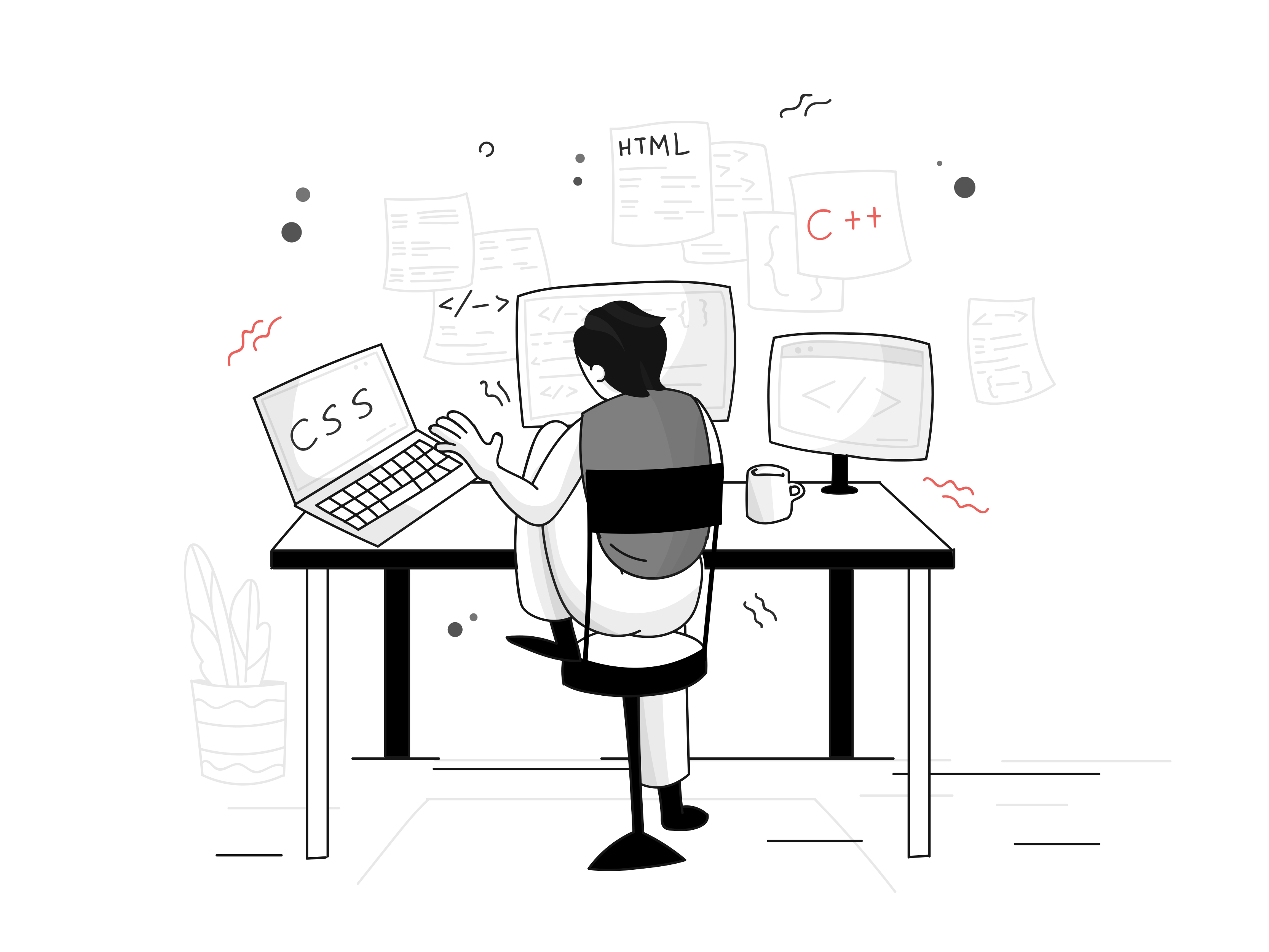 Developer